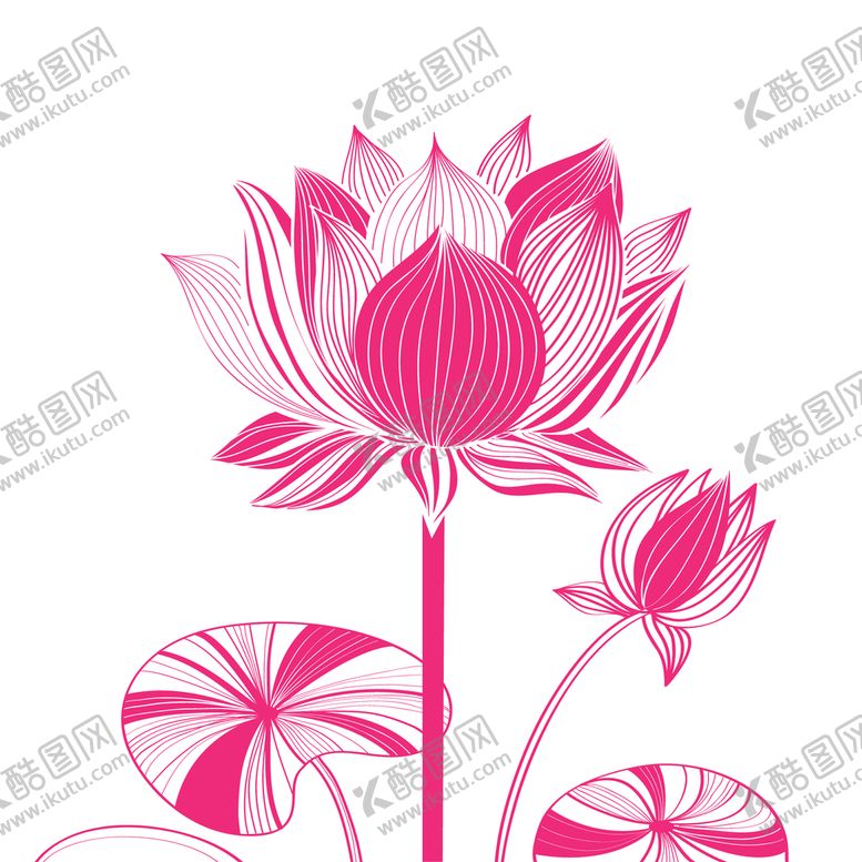 编号：43789209250914483587【酷图网】源文件下载-荷花