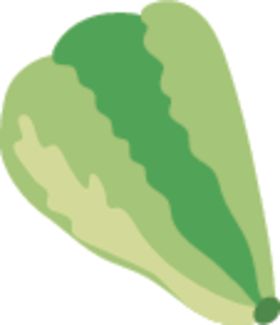 白菜