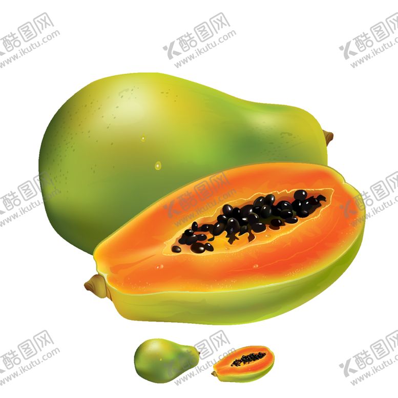 编号：43508101142239162241【酷图网】源文件下载-木瓜矢量