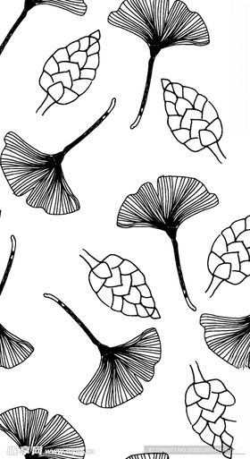 黑白简约线条植物绘画