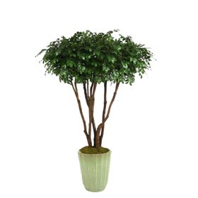 免抠背景花草树木