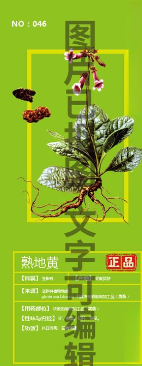 熟地黄