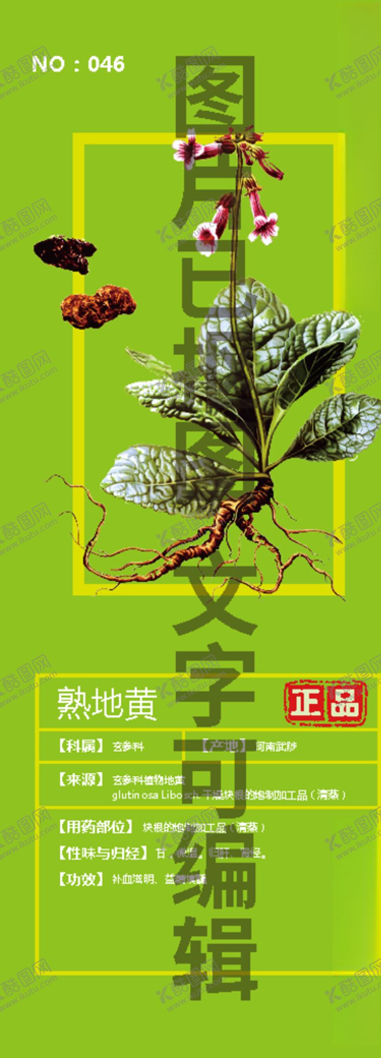 编号：56088205110444056249【酷图网】源文件下载-熟地黄