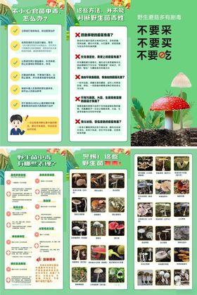 食用菌正确安全采摘宣传知识