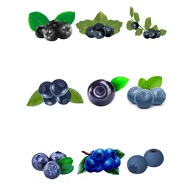 蓝莓