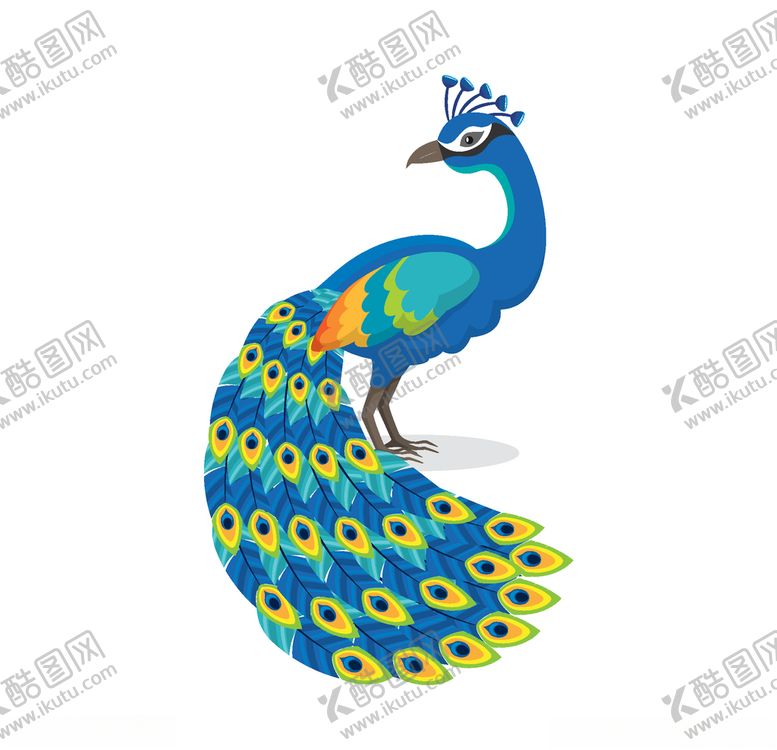 编号：63368810220317291587【酷图网】源文件下载-孔雀
