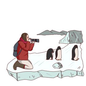 手绘企鹅插画