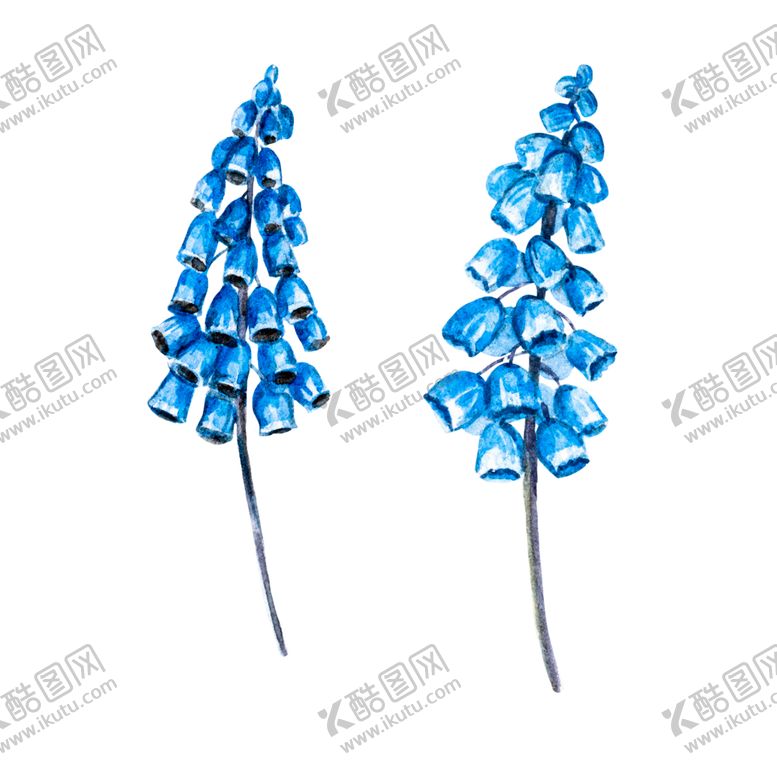 编号：60620810080018139365【酷图网】源文件下载-手绘植物