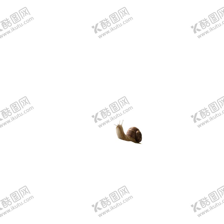 编号：50270509282210055606【酷图网】源文件下载-蜗牛