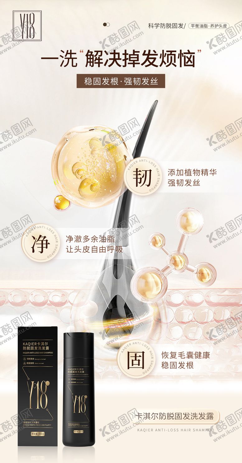 编号：72925511201634395731【酷图网】源文件下载-毛囊健康海报