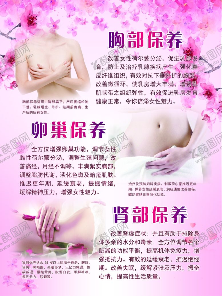 编号：54706710192009431275【酷图网】源文件下载-胸部保养卵巢保养肾部保养