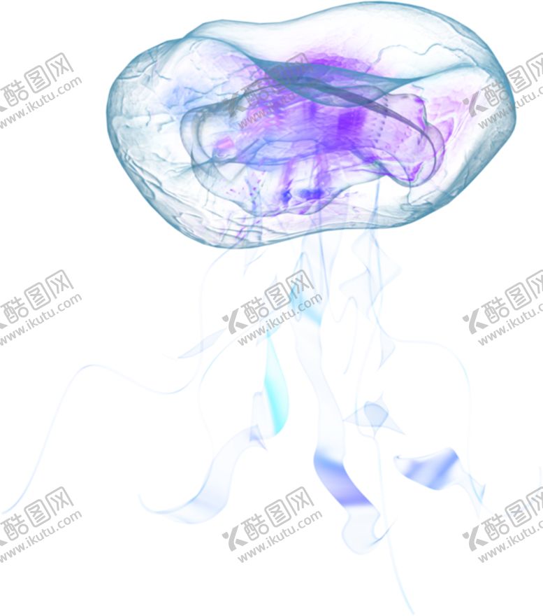 编号：80710909220608191023【酷图网】源文件下载-水母