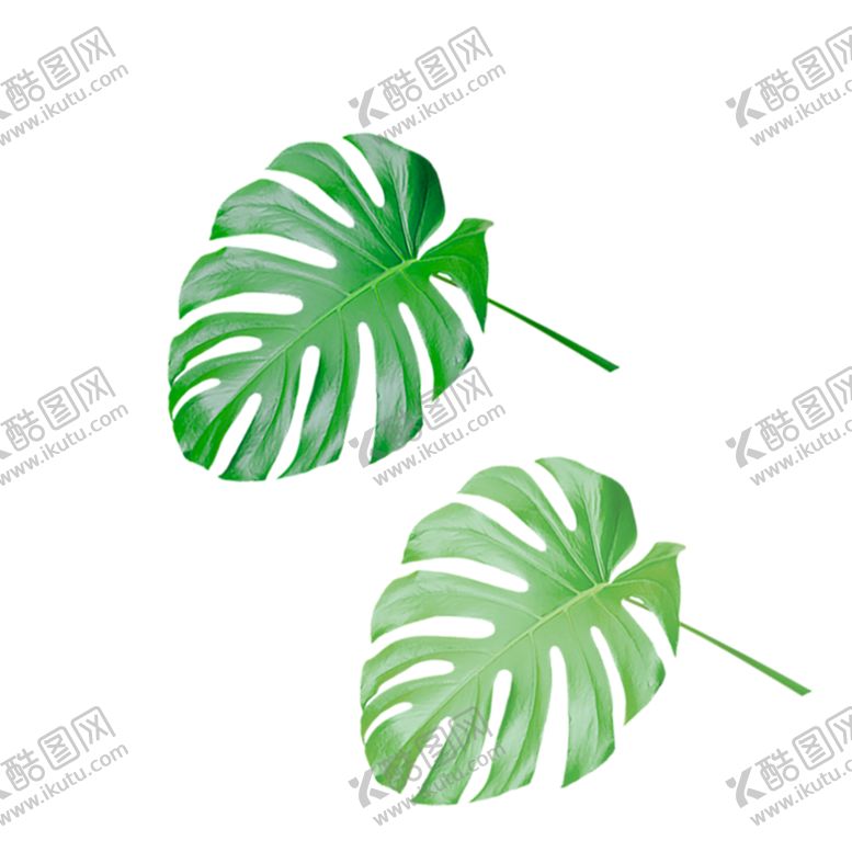 编号：94148210301840511137【酷图网】源文件下载-植物