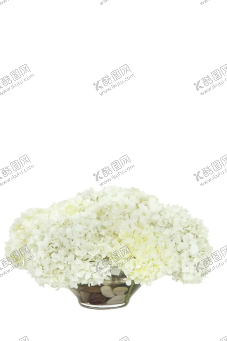 编号：89522806290114372924【酷图网】源文件下载-免抠背景花草树木