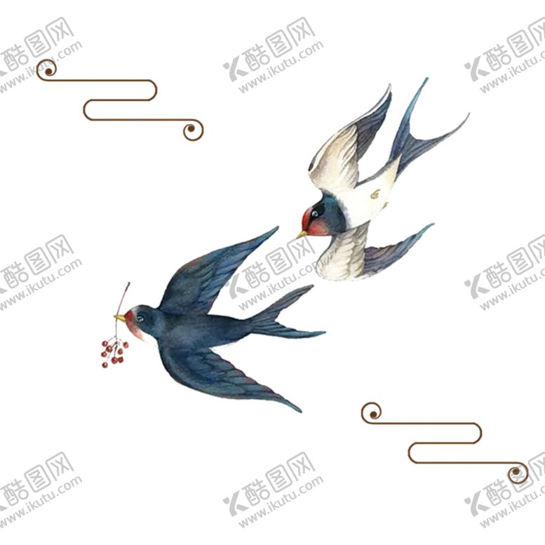 编号：52115906250350162471【酷图网】源文件下载-燕子