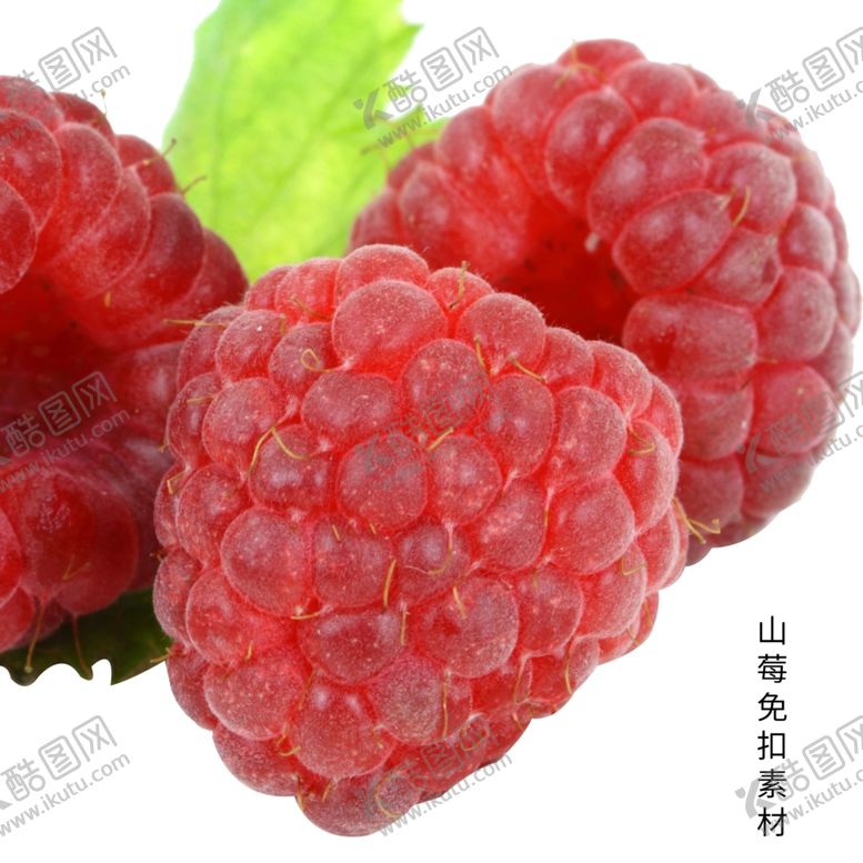 编号：46448109180946415394【酷图网】源文件下载-山莓素材