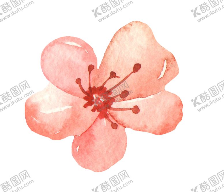 编号：29005907041753465439【酷图网】源文件下载-水彩绘画花朵