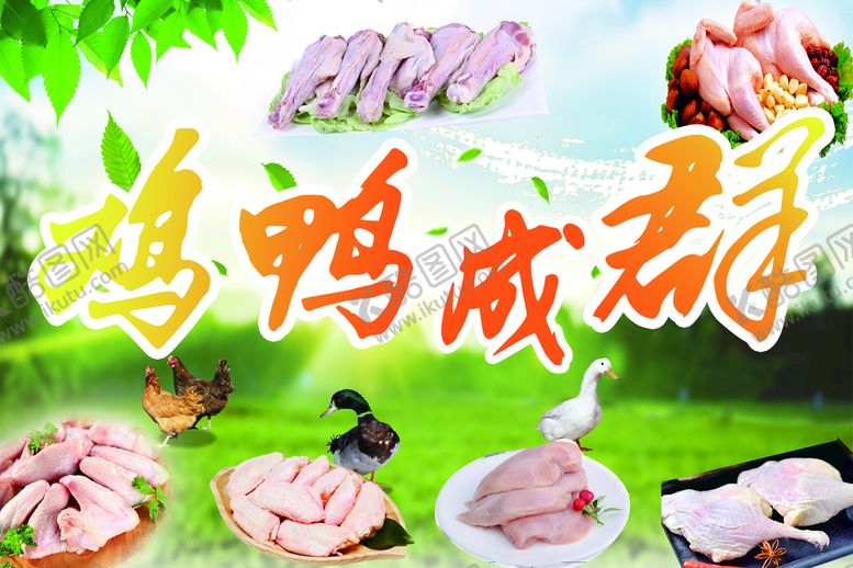 编号：52194809171637256457【酷图网】源文件下载-生鲜家禽特卖