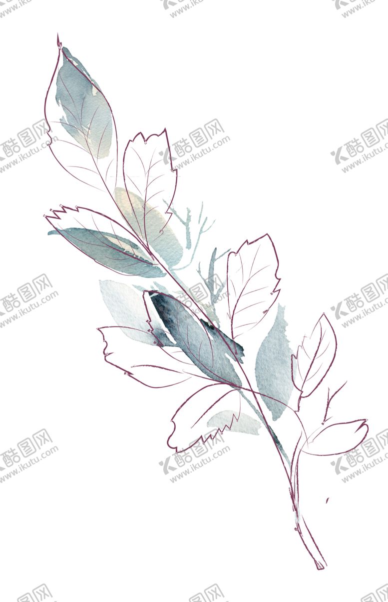 编号：10957609252352077953【酷图网】源文件下载-植物手绘水彩