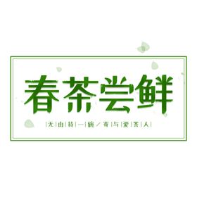 春茶新叶背景健康叶画册