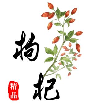 菊花枸杞