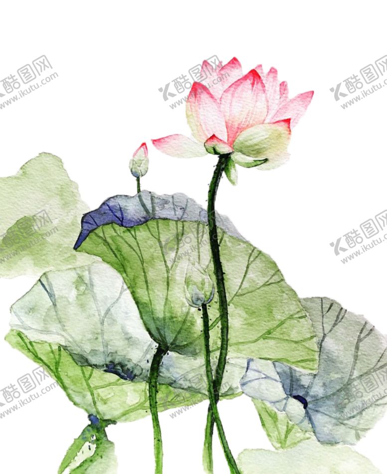 编号：84189810242149293780【酷图网】源文件下载-古风国风工笔画花免抠素材