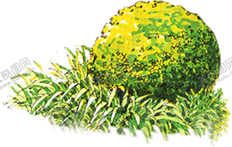 编号：58168109121728096021【酷图网】源文件下载-植物