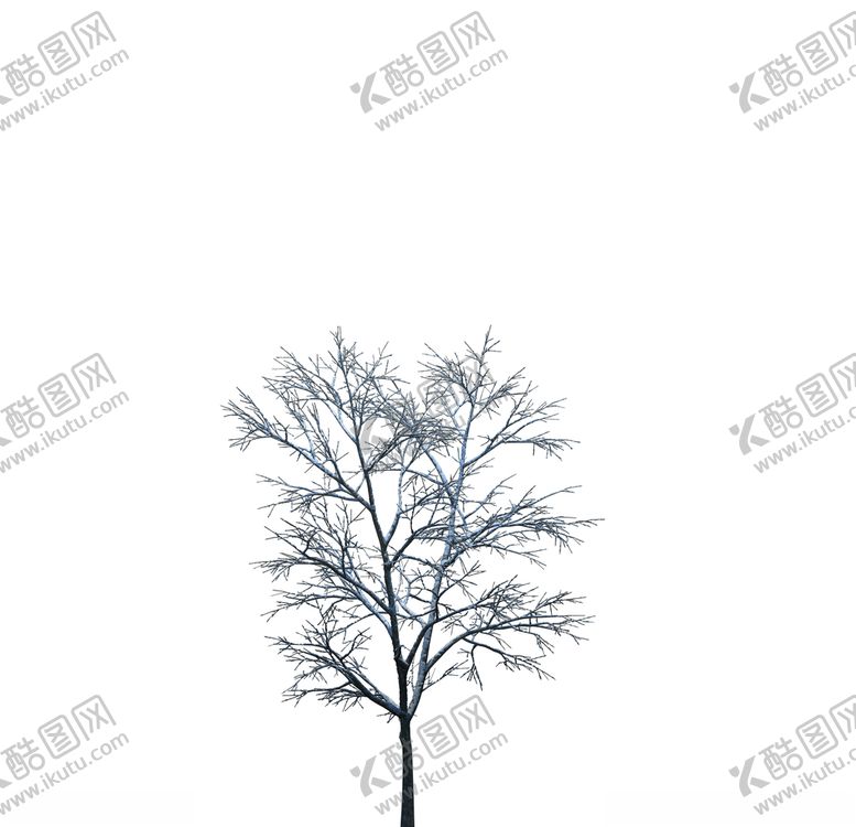 编号：66744311010105101069【酷图网】源文件下载-树木