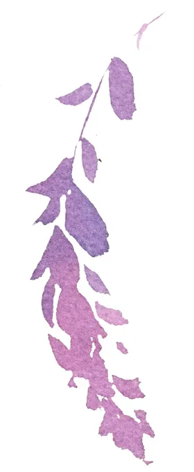 花卉背景