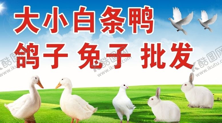 编号：65432610261129529382【酷图网】源文件下载-鸭子鸽子兔子