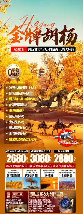胡杨林海报