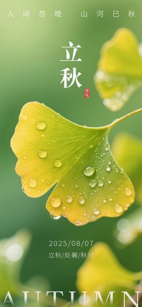 二十四节气之立秋海报