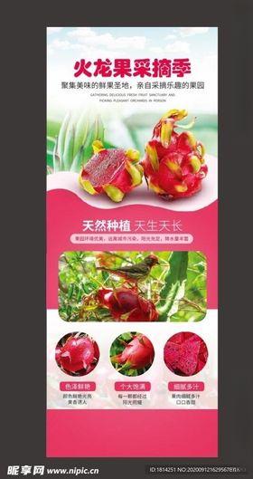 水果灯箱奇异果火龙果