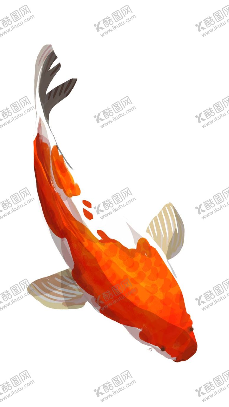 编号：13715510202028427627【酷图网】源文件下载-锦鲤元素图片