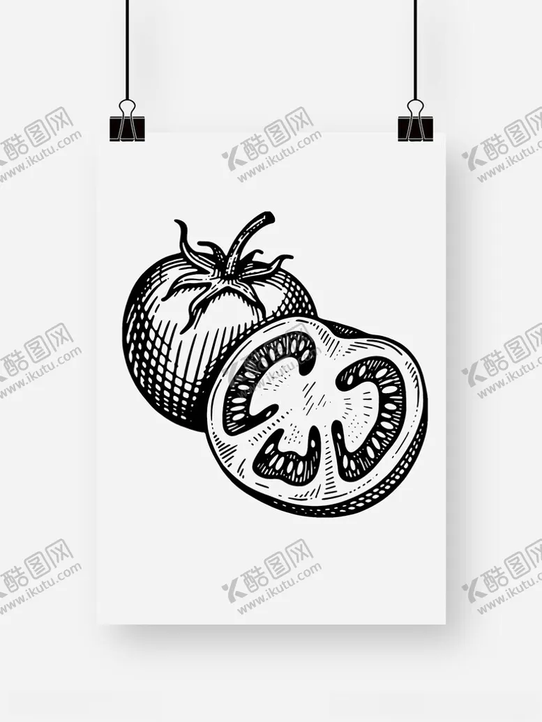 编号：19478009250244425809【酷图网】源文件下载-西红柿番茄