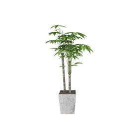 盆栽绿色植物家居装饰海报素材