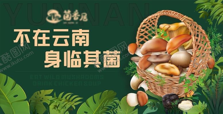 编号：46269804300120456567【酷图网】源文件下载-野生菌背景