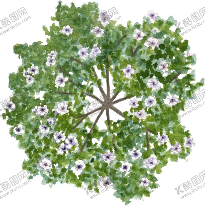 编号：52804604081222598068【酷图网】源文件下载-手绘植物