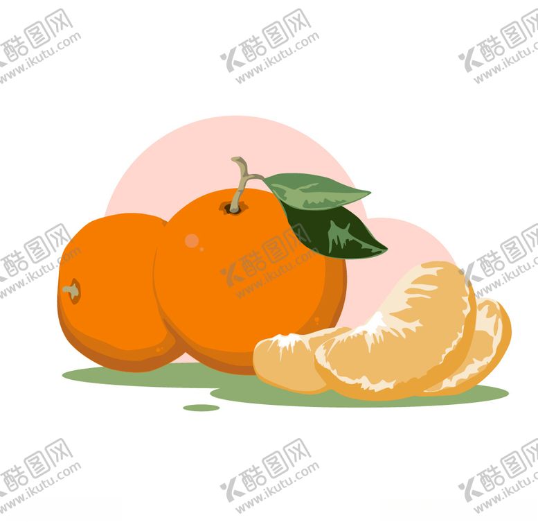编号：35122005010130282871【酷图网】源文件下载-水果系列矢量插画之橘子