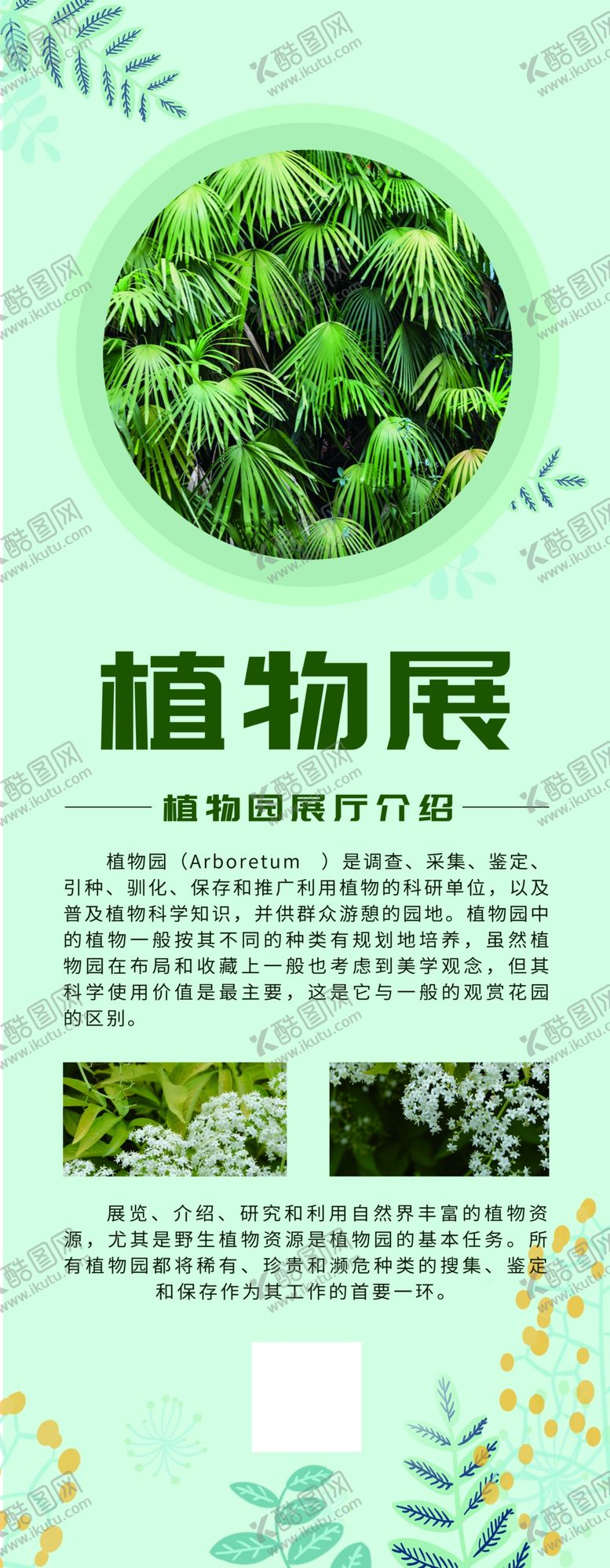 编号：58671105032333583359【酷图网】源文件下载-植物展