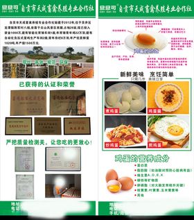 鸡蛋宣传展架