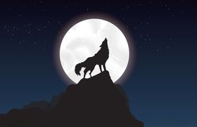 山顶的狼
