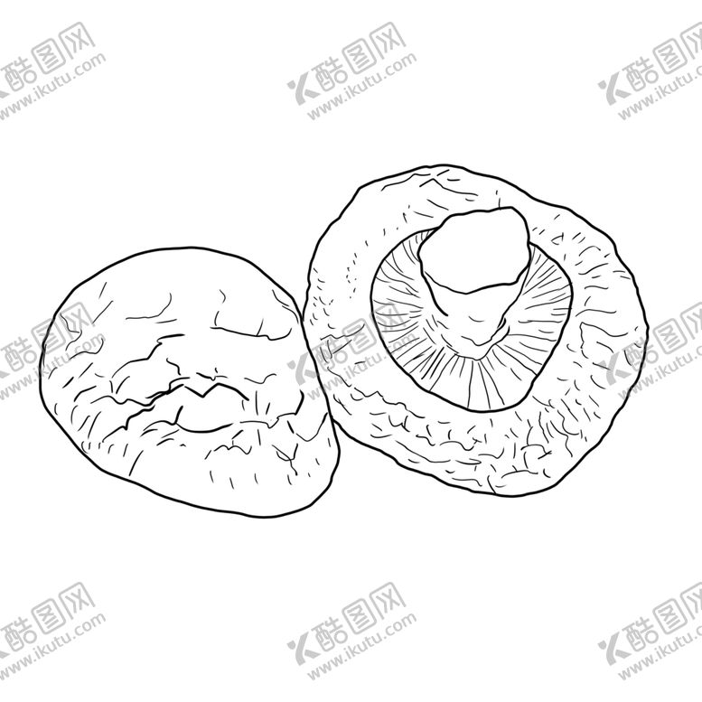 编号：31738806260721396247【酷图网】源文件下载-香菇