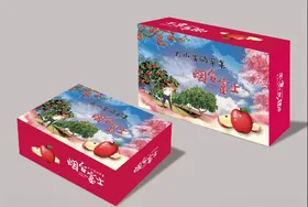 苹果礼盒包装