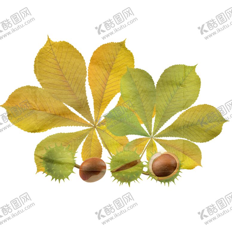 编号：67557706181757423474【酷图网】源文件下载-秋天素材