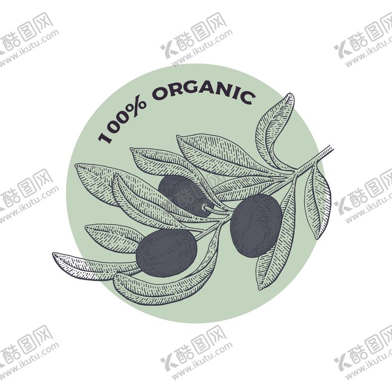 编号：59530410052015452972【酷图网】源文件下载-橄榄枝