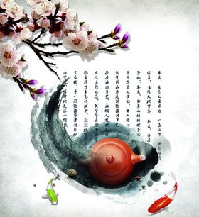 墨鱼