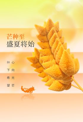 芒种海报活动传统