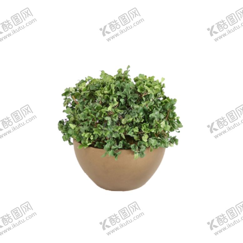 编号：38081409222114427945【酷图网】源文件下载-免抠背景花草树木