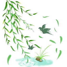 漂浮状被风吹起的水上柳叶鸟儿